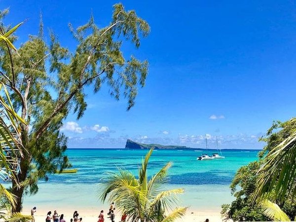 Les meilleurs plans pour explorer la faune et la nature de l'île Maurice