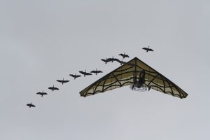 Un camping économique autour du Puy du Fou, idéal pour profiter des spectacles tout en respectant son budget.