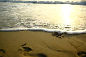 Des campings en bord de mer dans le Calvados, offrant un accès direct aux plages et des activités nautiques variées.